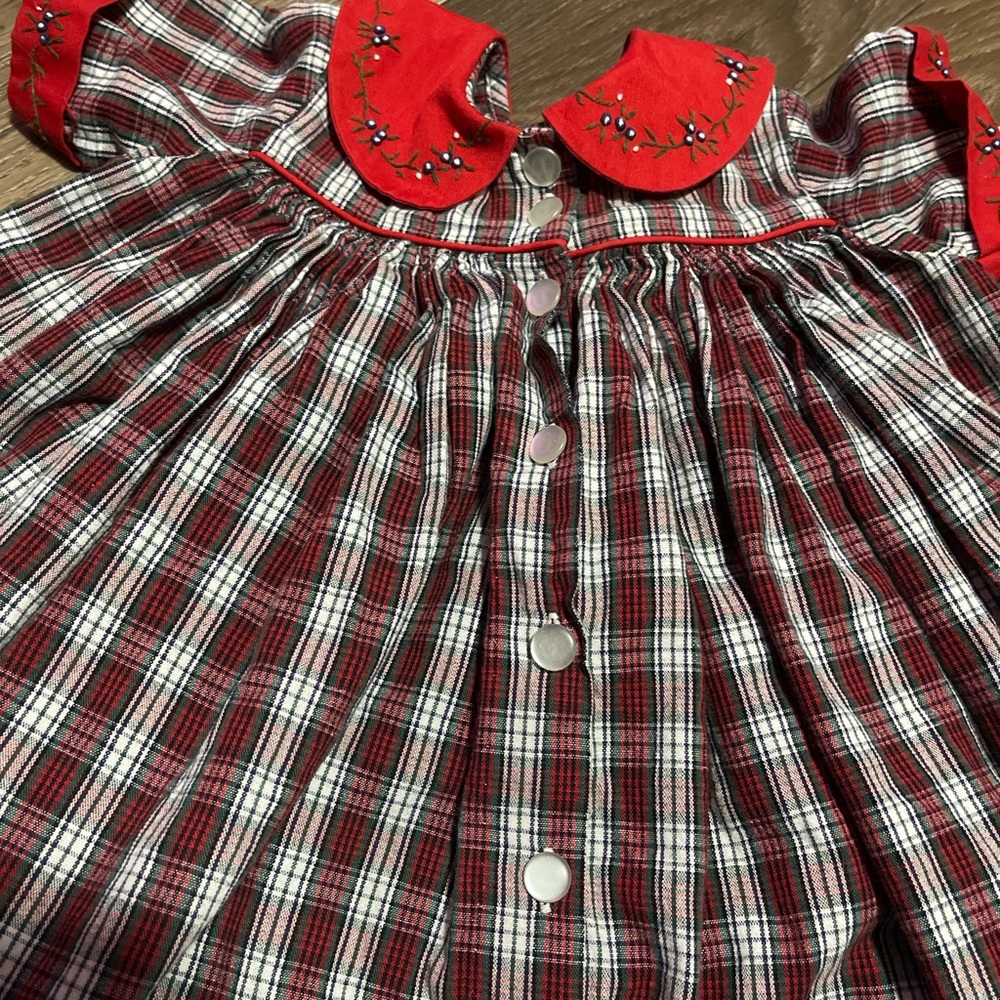Strasburg Red and White Plaid Dress with Floral Embroidery - Picture 5 of 6